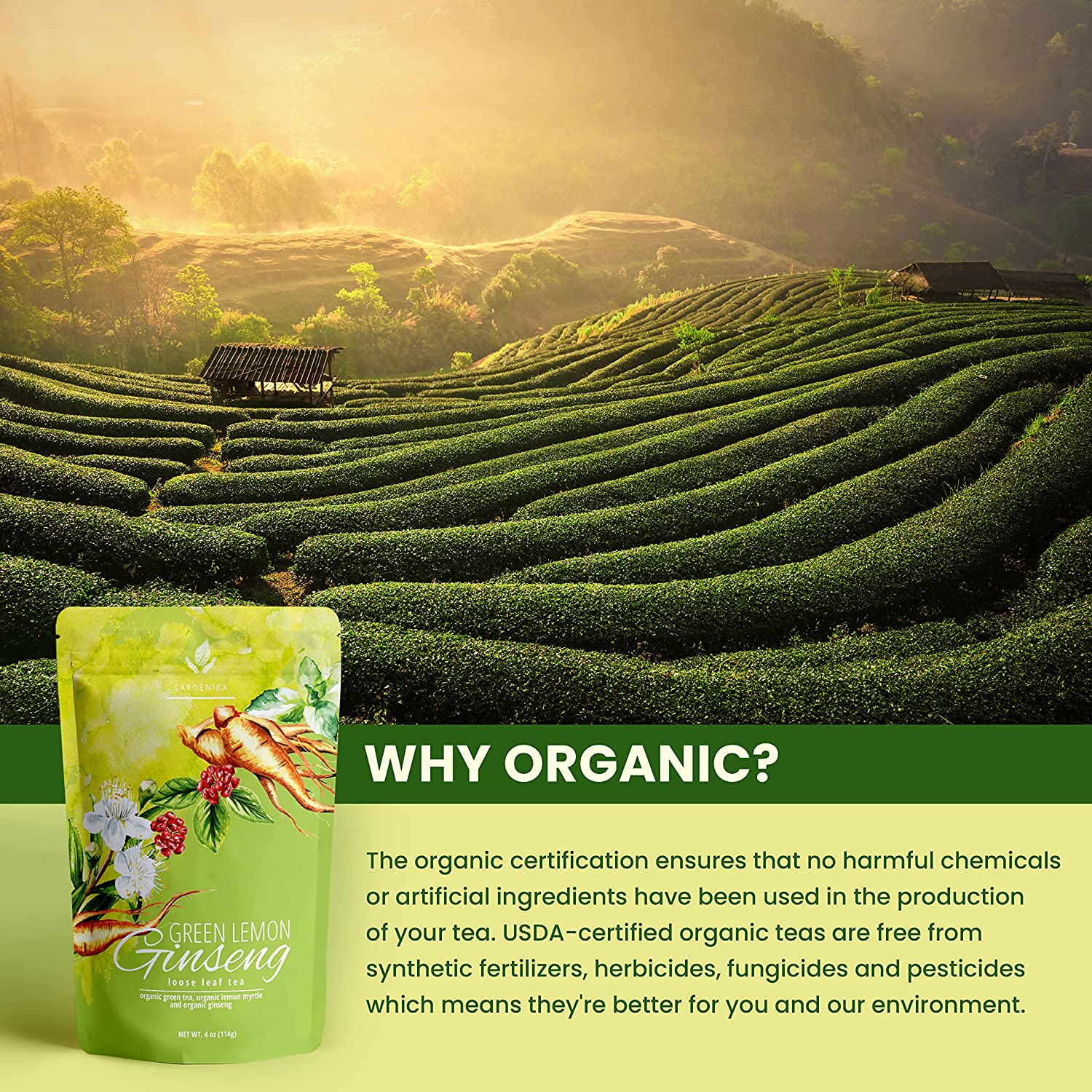 loose tea leaves te organico