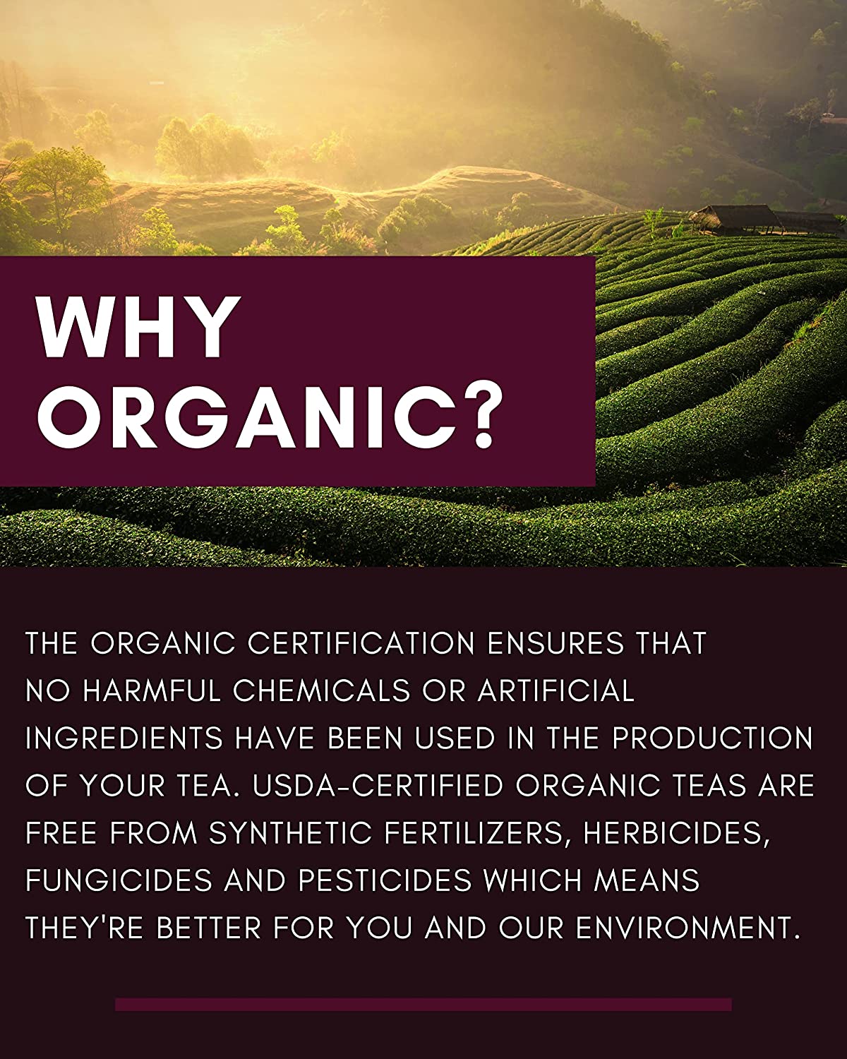 organic loose leaf puerh