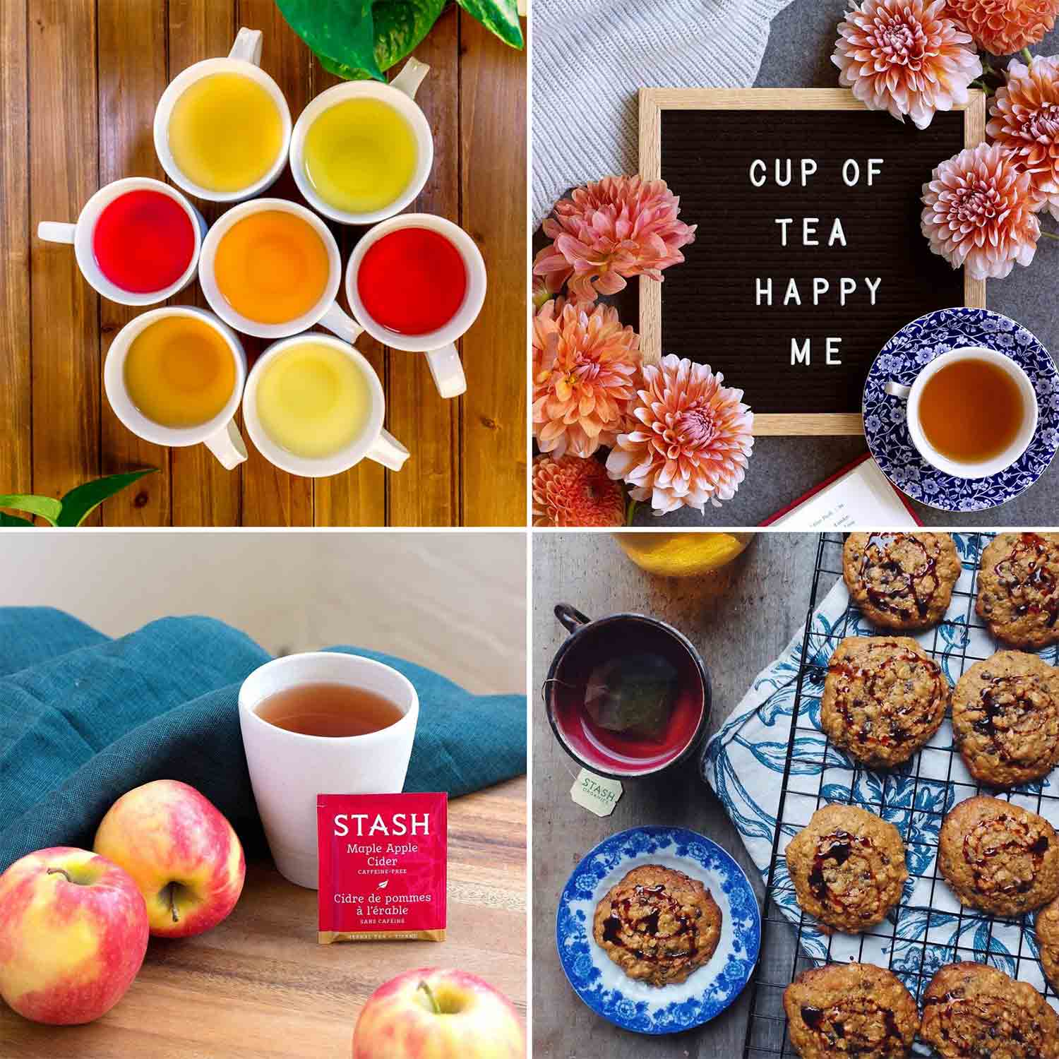 Stash Tea Bags Sampler - Caffeinated, Herbal & Decaf - 50 Ct, 50 Flavors - Gardenika Shop