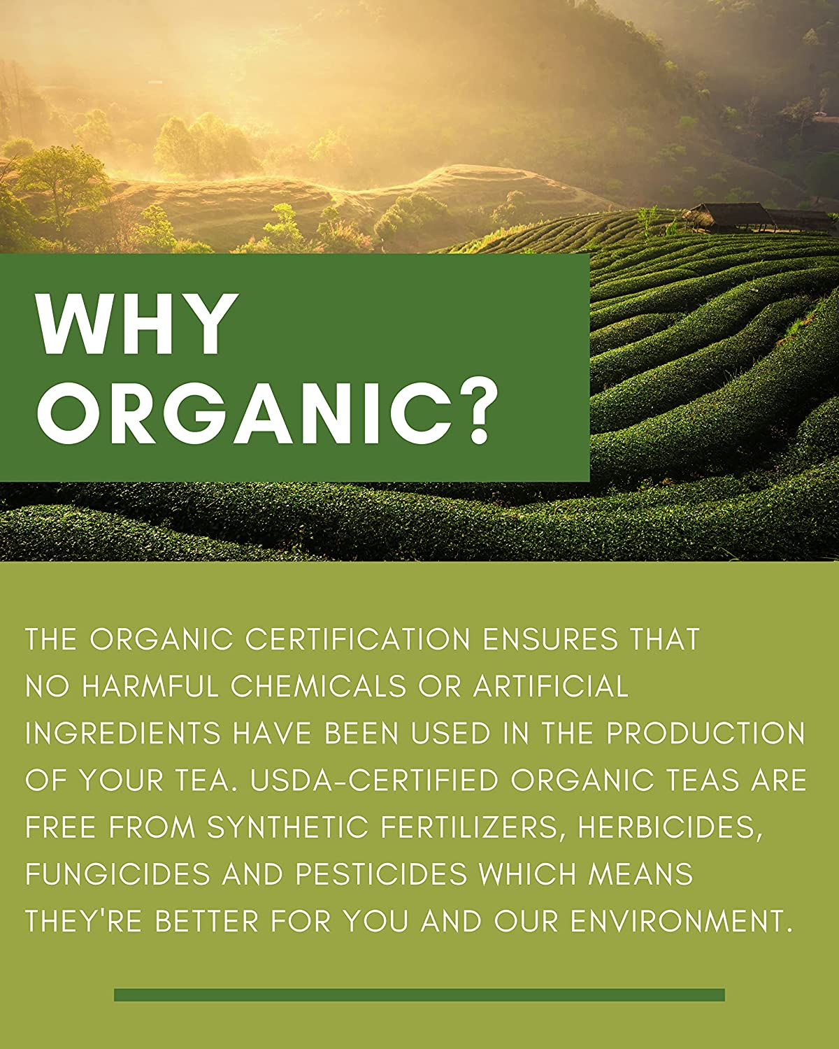 te organico gardenika teas bulk