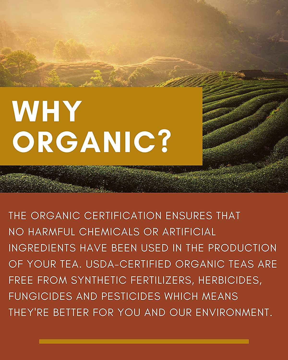 te organico verde gardenika teas