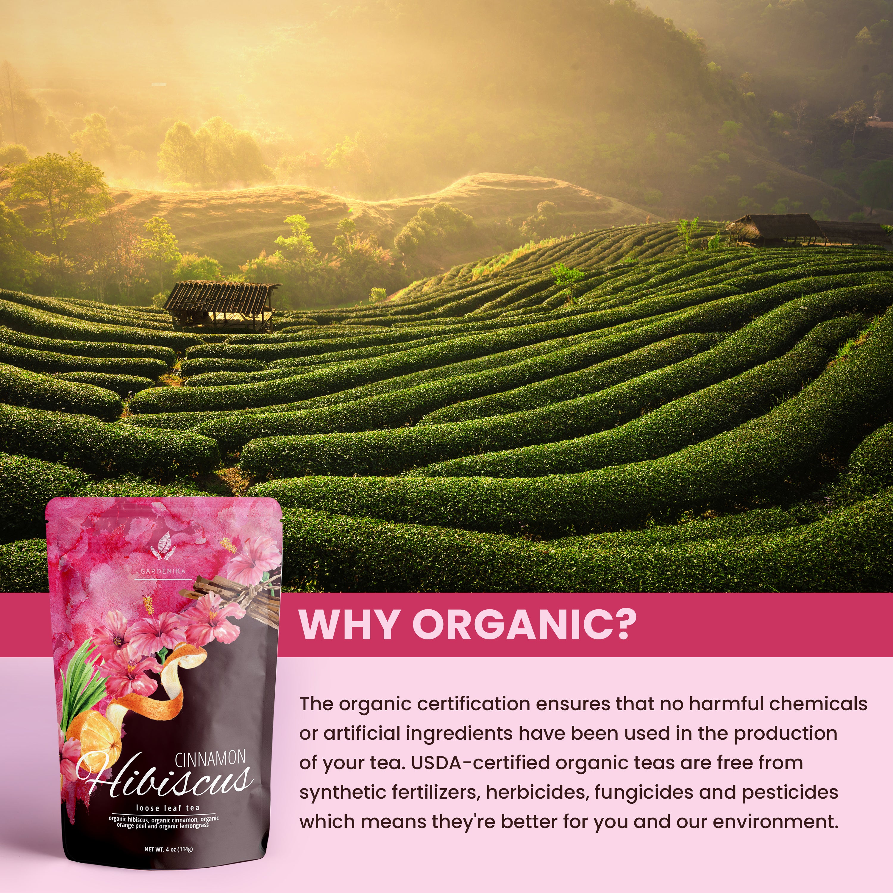 organic loose tea benefits