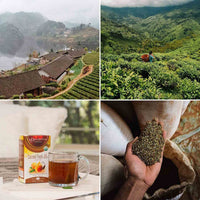 Organic Herbal Tea Bags Sampler - Twinings, Stash, Davidsons - 40 Ct, 40 Flavors - Gardenika Shop